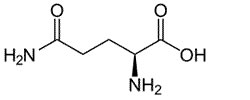 02-L-Glutamin-XR47PLUS.jpg